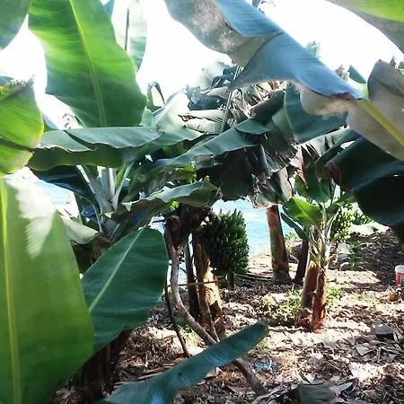 Alenes Del Mar Vakantiehuis San Juan de la Rambla